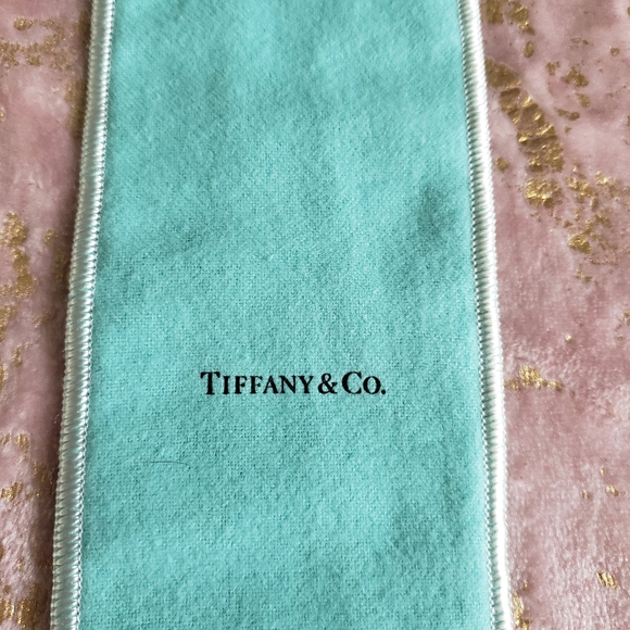TIFFANY & CO. | Jewelry Pouch - Tall 11x3 - Picture 7 of 10